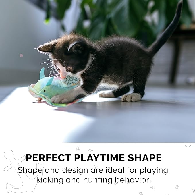 Furhaven 2-Pack Cat Toys w/ 2x Catnip Bags for Indoor Cats, Washable & Durable w/ Refillable Catnip Pocket - Plush Sea Slug Cat Toy Set - Blue/Tie Dye, Set of 2-PawvioPets