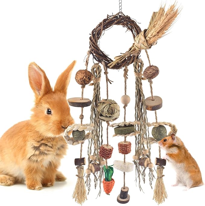 Bissap Bunny Chew Toy, Rabbits Cage Hanging Chew Toys and Treats Rattan Ring with Snacks Water Grass Wooden Block Carrot for Guinea Pigs Chinchillas Hamsters Rats and Other Small Pets Teeth Grinding-PawvioPets