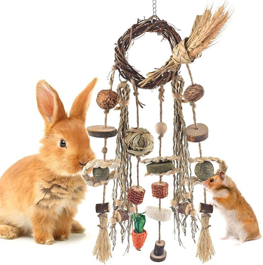Bissap Bunny Chew Toy, Rabbits Cage Hanging Chew Toys and Treats Rattan Ring with Snacks Water Grass Wooden Block Carrot for Guinea Pigs Chinchillas Hamsters Rats and Other Small Pets Teeth Grinding-PawvioPets