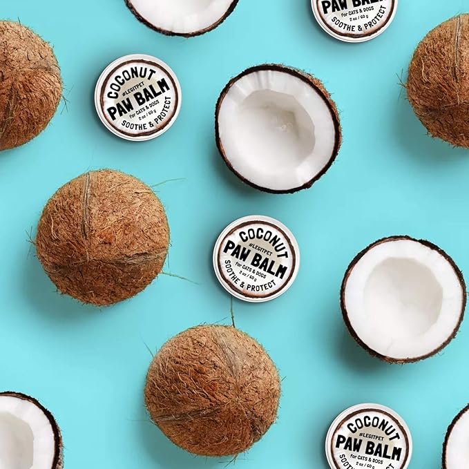 Coconut Paw Balm for Dogs by legitpet-PawvioPets