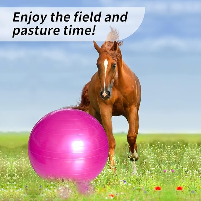 17 Inch Horse Play Balls Anti-Burst Herding Ball for Horse Mega Equine Ball for Play Training Horses Soccer Balls-PawvioPets
