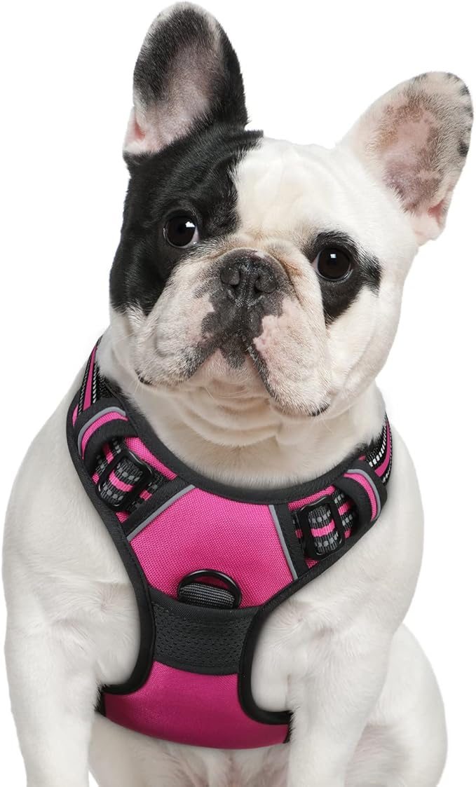 Eagloo Dog Harness Medium Sized Dog, No Pull Service Vest with Reflective Strips and Control Handle, Adjustable and Comfortable for Walking, No Choke Pet Harness with 2 Metal Rings, Rose Red, M-PawvioPets