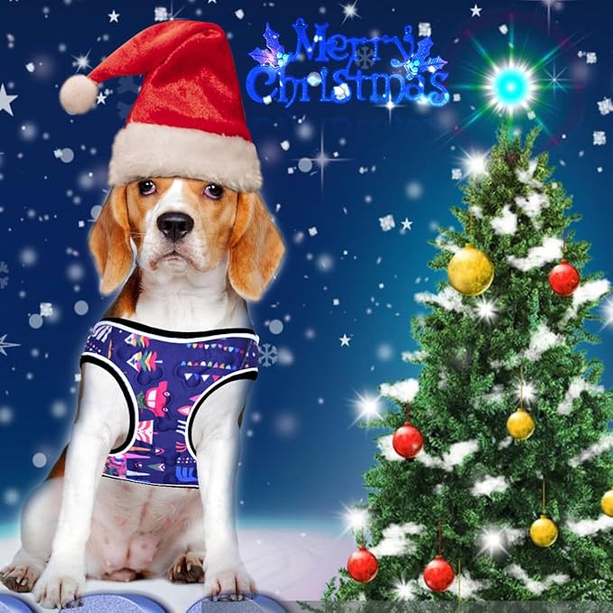 Comfort Fit Dog Harness No Pull with Adjustable Buckles Soft Padded Reflective Choke Step-in Pet Vest with Easy Control Handle for Small Medium Large Dogs & Puppies for Walking Running Training-PawvioPets