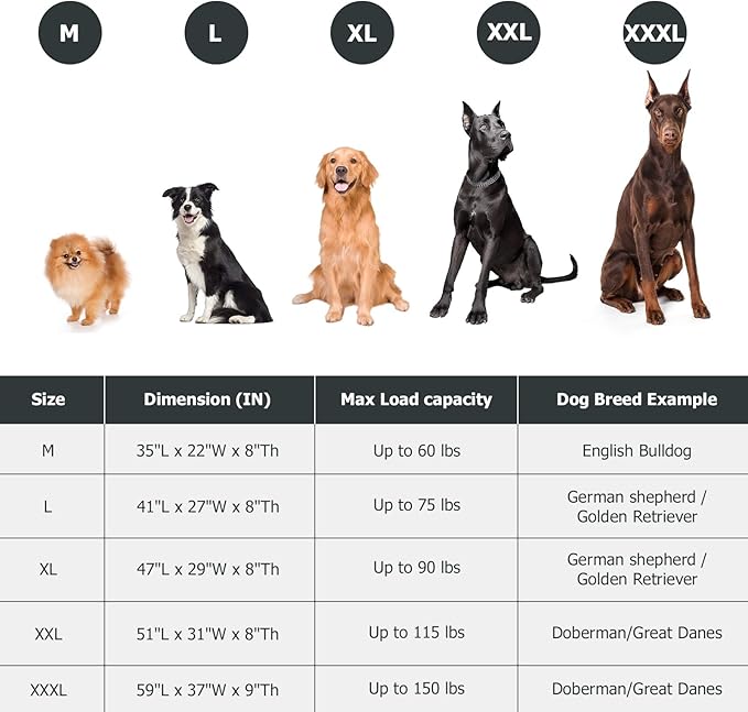 Elevated Dog Bed for Outdoor, XXXL Raised Dogs Cot with Washable Mesh, Cooling Pet Beds Chew Proof Dog Hammock, Metal Frame Lifted Platform for Training Outside Camping, 59 inch Green-PawvioPets