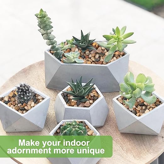 5 lbs Drainage Rocks for Potted Plants, 1/5 Inch Small Pebbles for Indoor Plants, Decorative Gravel for Vases, Bamboo, Succulent, Terrarium, Crafts, Cactus-PawvioPets