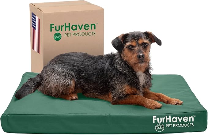 Furhaven Water-Resistant Cooling Gel Dog Bed for Medium/Small Dogs w/ Removable Washable Cover, For Dogs Up to 35 lbs - Indoor/Outdoor Logo Print Oxford Polycanvas Mattress - Forest, Medium-PawvioPets