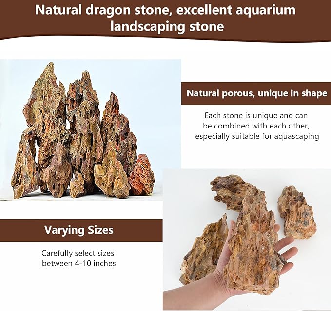 Dragon Stone Rock for Aquascaping,Aquarium Decor, Fish Tank Decorations,3-10 Inches Natural Ohko Stone for Fish Tank Landscaping (6.6 Pounds)-PawvioPets