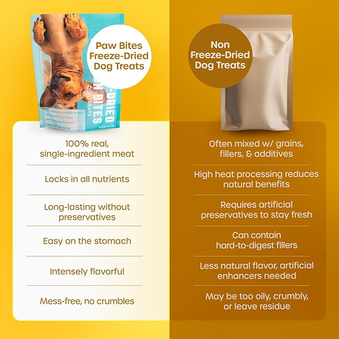 Freeze Dried Dog Treats - Wild Caught Salmon - Dog Food Dry Snacks - with Protein & Omega 3s - for All Breeds & Sizes - No Artificial Flavors & Dyes, No Preservatives - 1 Pouch, 4 oz-PawvioPets