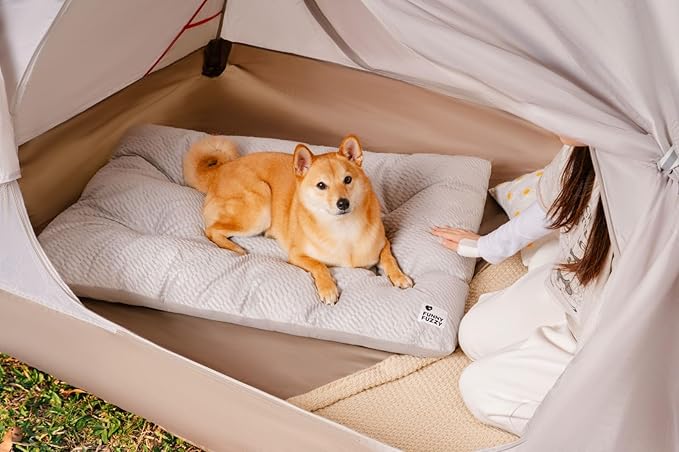 FUNNY FUZZY Washable Dog Bed,Reversible Plush Dog Crate Mat, Soft Fluffy Kennel Pad,Pet Sleeping Mattress for Large,Jumbo,Medium Sized Dogs Breeds,Indoor Cats,41.7" × 28.3", Light Grey-PawvioPets