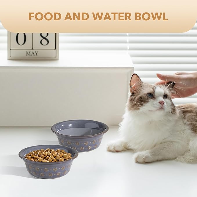 5.5inch Ceramic Set of 2 Dog and Cat Bowls, 2pcs Basic Food and Water Dishes for Puppy, Kitty, Wide Opening Rounded Edge (2 Bowls, Reactived Glaze -Grey)-PawvioPets