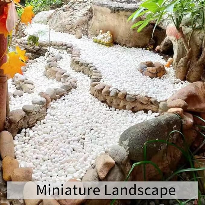 10LB Natural Succulent Gravel Decorative White Rocks - 3/8'' Small White Pebbles for Plants, Decorative Stones, Succulent Rocks Pebbles for Planter, Aquarium Pea Gravel for Landscaping-PawvioPets