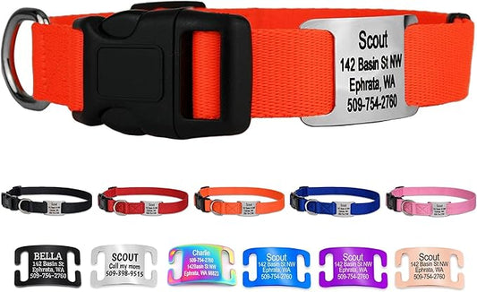 GoTags Personalized Dog Collar with Nameplate, Adjustable Dog Collar with Custom Engraved Slide On Pet ID Tag in Stainless Steel, Silent, No Noise Dog Tag for Large Medium and Small (Orange, Large)-PawvioPets