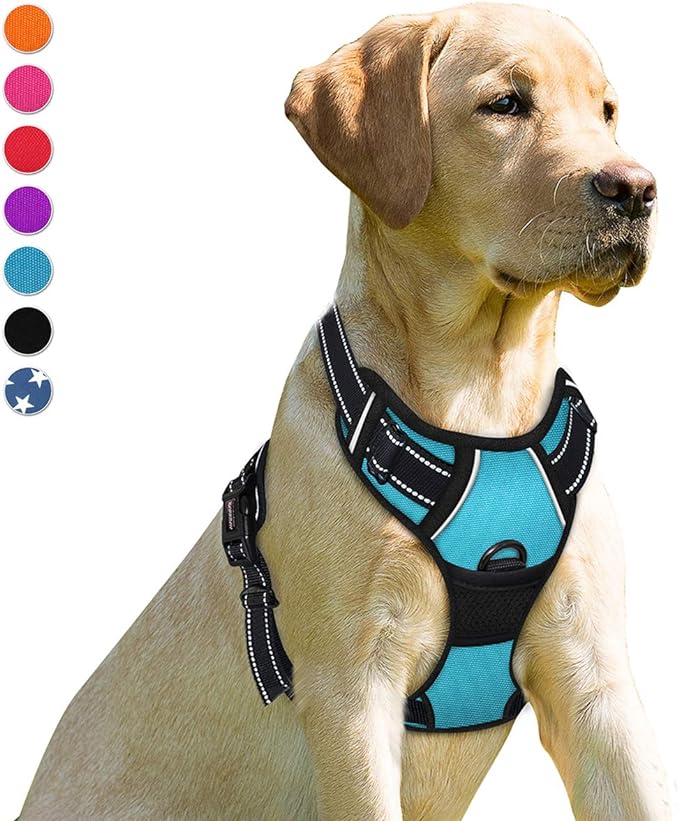 BARKBAY No Pull Dog Harness Front Clip Heavy Duty Reflective Easy Control Handle for Large Dog Walking(Blue,XL)-PawvioPets