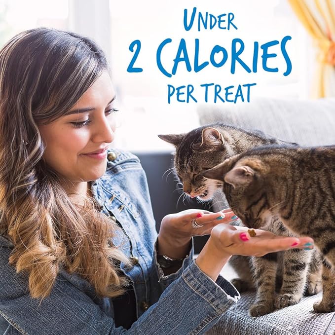 Fruitables Cat Treats Crunchy Cat Treats Packed with Protein Healthy Low Calorie Free of Wheat, Corn and Soy Made with Real Chicken and Blueberry 30 Ounces-PawvioPets