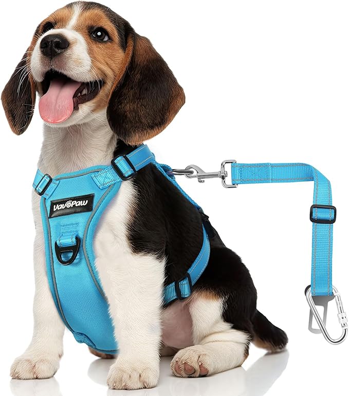 Dog Seat Belt Harness for Car, Dog Car Harness Adjustable Mesh Breathable & Dogs Seatbelt Safety Tether with Elastic Bungee for Small Medium Large Pets(Blue, S)-PawvioPets