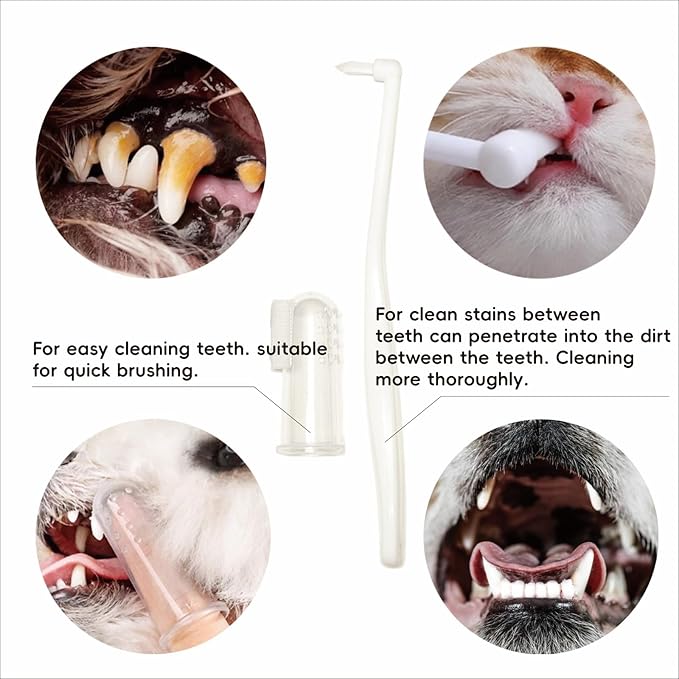 Dental Care for Pets - Dog Tooth Brushing Kit, Dog Toothpaste, Cat Toothbrush kit, Pet chew Toys, Dog Teeth Cleaning, 5 in 1 KIT for Large and Small Pets, Pets are Durable in Use !-PawvioPets