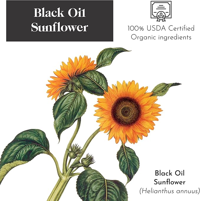 Flying Colors Premium Organic Wild Bird Seed | Black Oil Sunflower Seed | USDA Organic Ingredients | Best Seed for Backyard Bird Feeders | 3 Gallon Easy-Pour Carton-PawvioPets