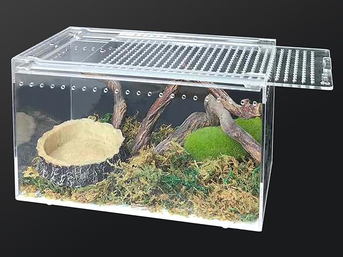 Acrylic Reptile Terrarium Enclosure 9.8" x 5.9" x 5.9" Magnetic Tarantula Breeding Box Transparent Insect Habitat for Jumping Spider Hermit Crab Lizard Sling Isopods Horned Frog Snake Gecko-PawvioPets