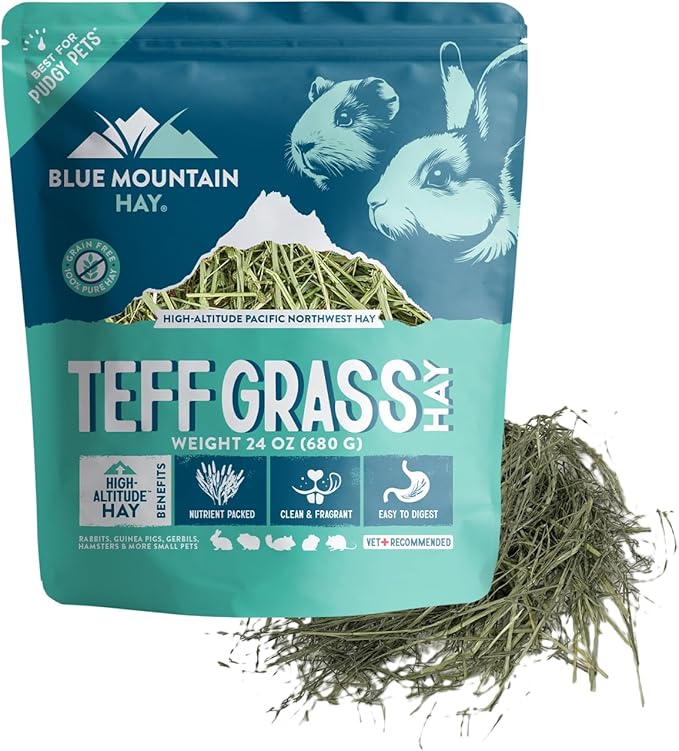 Blue Mountain Hay | Fresh Teff Grass Hay (24 Ounce) | Low NSC, High Fiber, Healthy Weight Management | High-Altitude Hay Pet Food for Rabbits, Guinea Pigs, Chinchillas, Hamsters, and Other Small Pets-PawvioPets