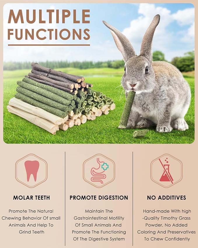Bissap 60 PCS Rabbit Chew Sticks, Sweet Bamboo Timothy Hay Chew Stick Papaya Stems Apple Branch Bunny Chews for Rabbit Hamster Chinchilla Guinea Pig Small Pet Natural Molar Treats-PawvioPets