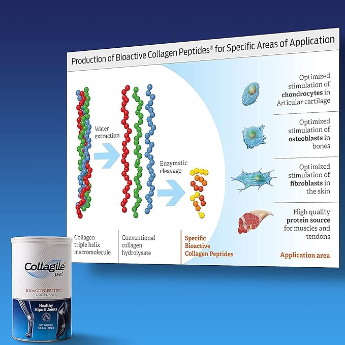 COLLAGILE® pet - Dog Hip & Joint Care | Effective Powder Supplement | Clinically Tested by Vets | 100% Natural | Tasteless and Odorless-PawvioPets