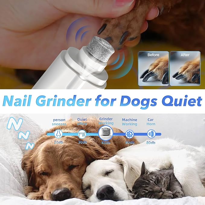 2 in 1 Dog Nail Clippers and Grinder with Lights & Cat Nail Clipper for Large Medium Small Dogs Cats Nail Trimmers USB Rechargeable with 2 LED Lights Dog Claw Care for Non-Black Nails-PawvioPets