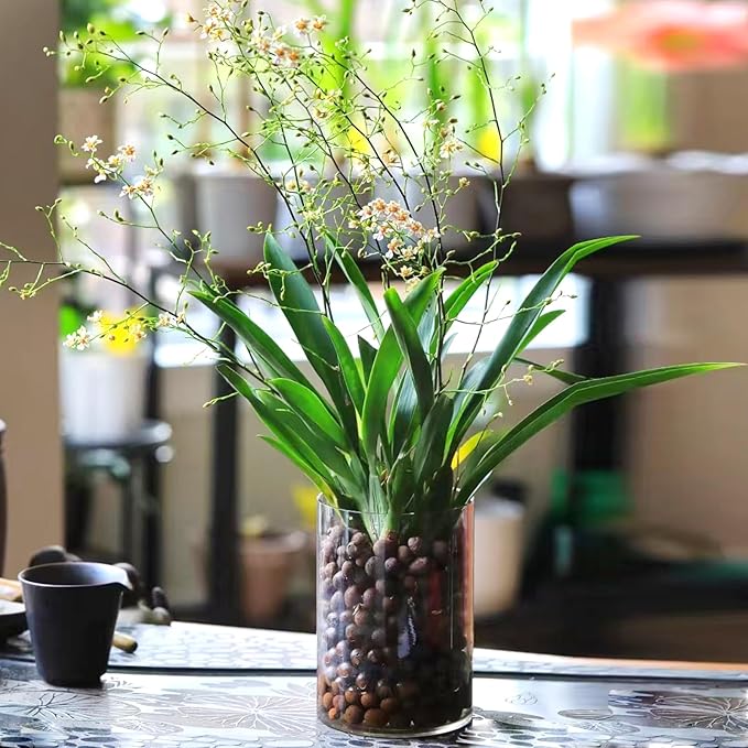 5 lbs Clay Pebbles for Plants, 8-12 mm Leca Clay Balls for Indoor Plants, Orchid Potting Mixes, Hydroponic Growing, Aquaponics, Potted Top Dressing and Drainage-PawvioPets