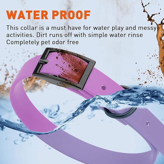 Dogline Biothane Waterproof Dog Collar Strong Coated Nylon Webbing with Black Hardware Odor- Proof for Easy Care Easy to Clean High Performance Fits Small Medium or Large Dogs, Amethyst Purple-PawvioPets