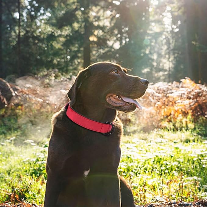 Didog Soft Padded PU Leather Dog Collar, Breathable and Adjustable Red Dog Collar for Large Dogs, Comfortable for Daily Walk,Red XL Fit Neck 17-21"(44-71 lbs)-PawvioPets