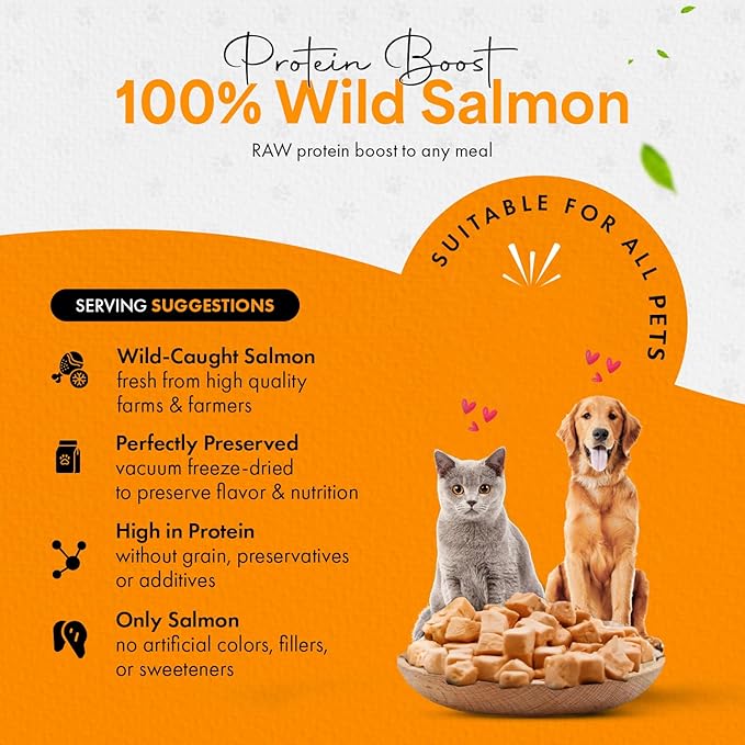 Freeze-Dried Salmon Treats for Cats & Dogs – 100% Wild Caught, Single Ingredient, High-Protein, Healthy Snack – No Additives or Preservatives – 2.6oz - Inspected & Tested in USA-PawvioPets
