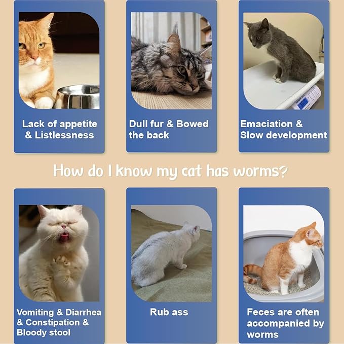 Flea Collar for Cats, Flea and Tick Collars for Kittens, Flea & Tick Treatment Prevention, Natural Essential Oil, 2 Pack, 16 Months Protection, One Size Fits All, Waterproof-PawvioPets