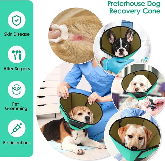 Dog Recovery Collar Cone for Medium Dogs, Adjustable Dog Cone Alternative After Surgery for Dogs to Stop Licking, Breathable Soft Cone for Medium Large Dogs, Green M-PawvioPets