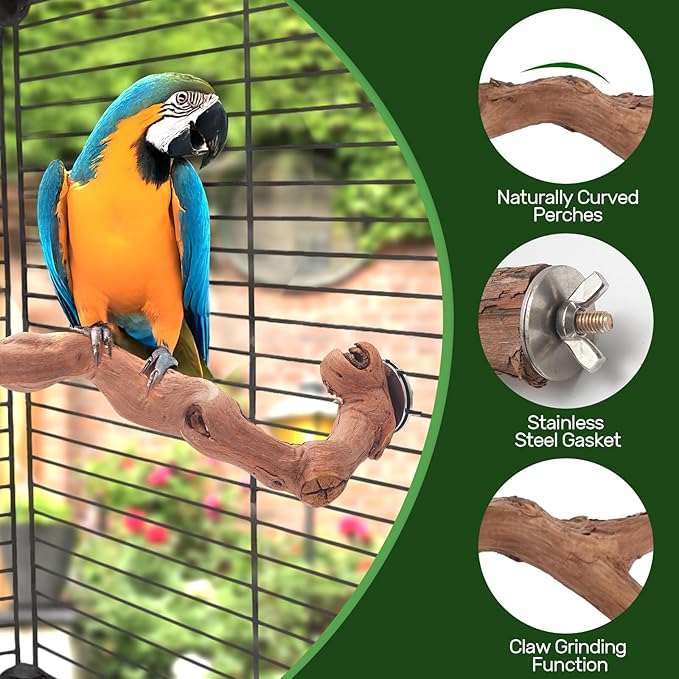 6-Piece Premium Bird Perch Stand with Natural Grape Wood Branch, Paw Grinding Fork, Chewing Stick, Cage Accessories for Parakeets, Budgies, Cockatiels, Finches, Lovebirds-PawvioPets