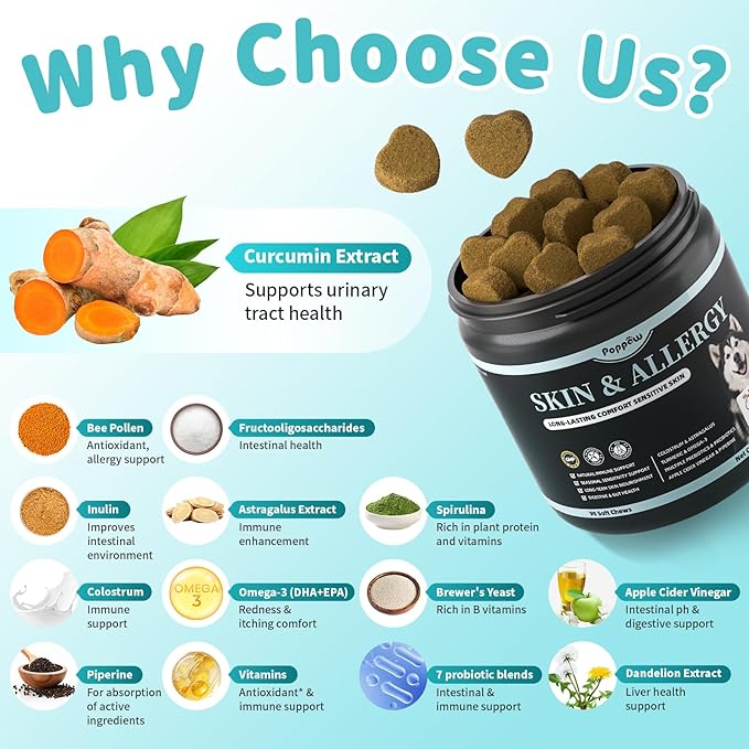 Dog Skin & Allergy Chews - Dog Probiotics for Sensitive Skin Health Support - Allergy Relief - Support Seasonal Allergies, Immune & Gut & Digestive Health Supplement - Beef Flavor - 90 Count-PawvioPets
