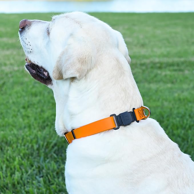 Dogline Biothane Waterproof Dog Collar with Herm Sprenger Stainless Steel Quick Release Buckle – Heavy Duty Tactical Durable Collar for Dogs – Comfortable and Safe Pet Collar W 3/4" L 12-19" Tangerine-PawvioPets