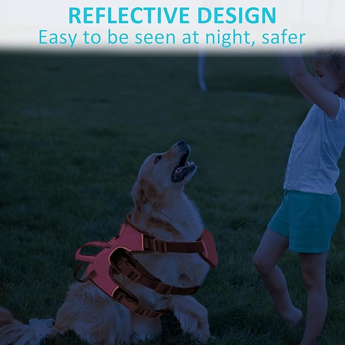 Escape Proof Dog Harness, No Pull Reflective Adjustable Vest with Easy Control Lift Handle, No Choke Soft Padded Breathable Full Body Pet Harness for Walking Hiking and Training (Pink, Small)-PawvioPets