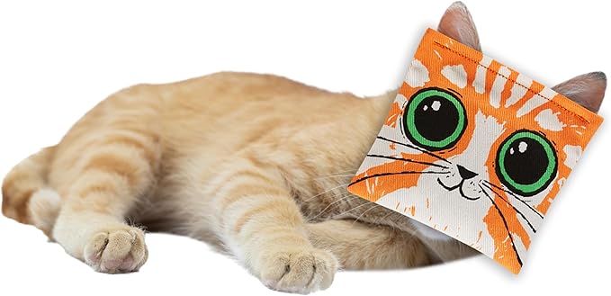 Blue Q Kitty's First Bong Rip Catnip Cat Toy. Premium Organic Catnip Grown in The USA, 100% Cotton Pouches, Kitty Graphics Sure to Delight Every Cat-Keeper.-PawvioPets