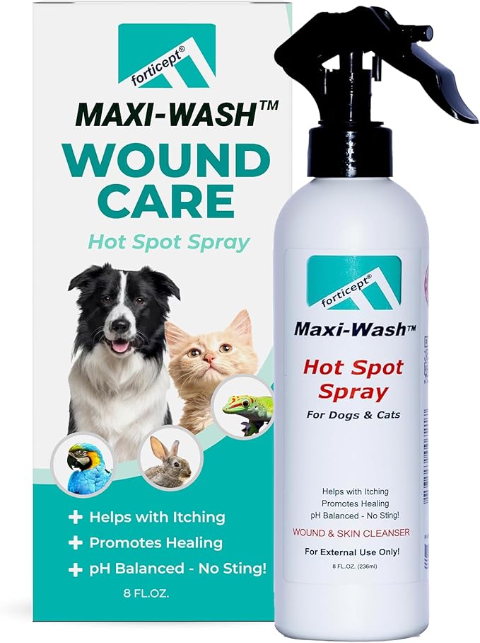 Forticept Maxi-Wash Hot Spot Spray Treatment, Wound Care & Itch Relief Spray for Dogs and Cats. Relives Scratching, Rashes, Sores, Itchy Skin and Paw Licking 8 oz-PawvioPets