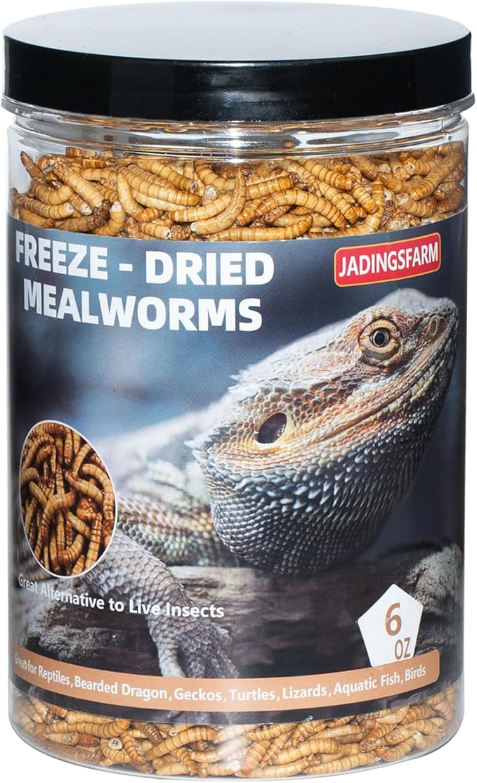 Freeze Dried Mealworms 6 Oz - High Protein Pet Food for Reptiles, Bearded Dragons, Birds & Hedgehogs - Nutrient-Packed Treat for Lizards, Geckos, Turtles, Chickens-PawvioPets