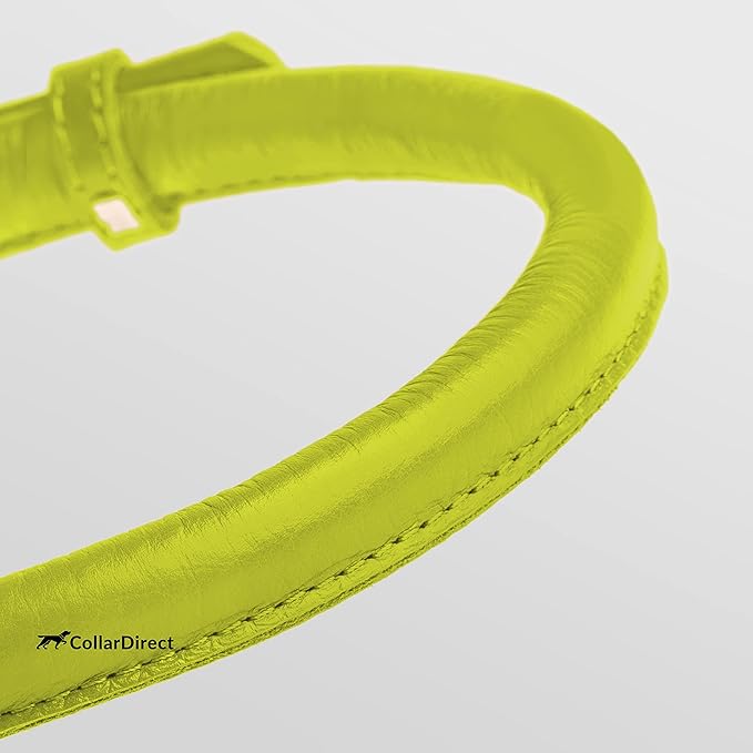 CollarDirect Rolled Leather Dog Collar, Soft Padded Round Puppy Collar, Handmade Genuine Leather Collar Dog Small Large Cat Collars 13 Colors (13-16 Inch, Lime Green Textured)-PawvioPets