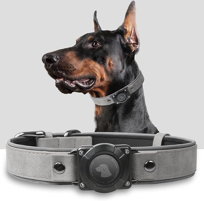 AirTag Dog Collar - Leather Dog Collar with Air Tag Holder | IPX8 Waterproof, Reflective, High - End, Adjustable Soft Padded | Dog GPS Tracker Collars Fit for Medium Large Dogs (Grey, XL)-PawvioPets