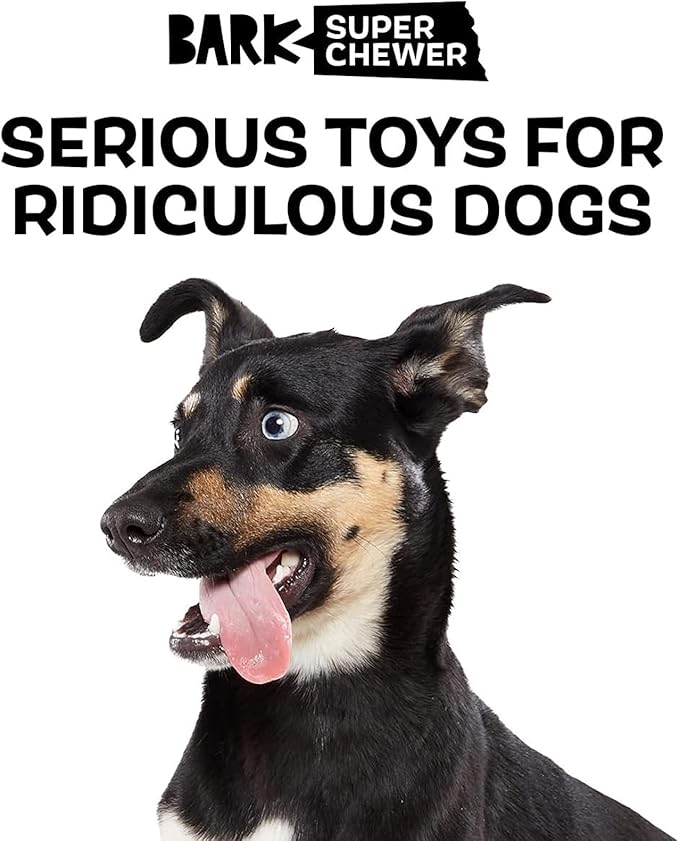 Barkbox Super Chewer Tough Dog Chew Toys for Aggressive Chewers, Plush 2 Toys in 1 (Panda - Large)-PawvioPets