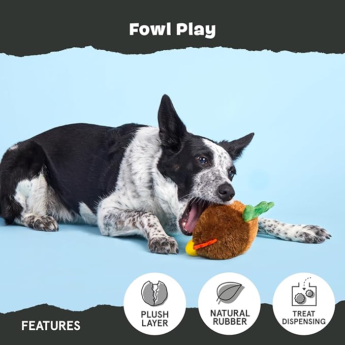 Barkbox Fowl Play Treat Dispensing Hard Core Plush Toy for Aggressive Chewers - Large-PawvioPets