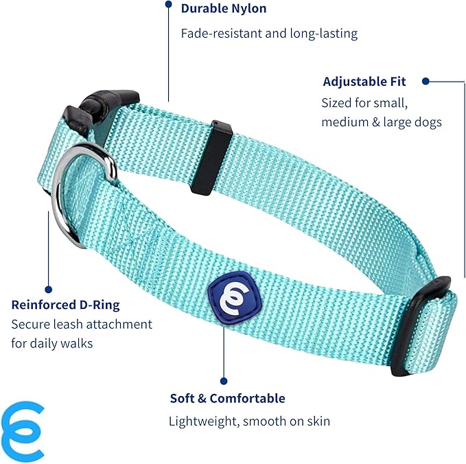 Blueberry Pet Essentials Matching Medium Adjustable & Durable Classic Solid Color Nylon Dog Collars for Medium Dogs | Mint Blue Collar for Girl & Boy Dogs-PawvioPets