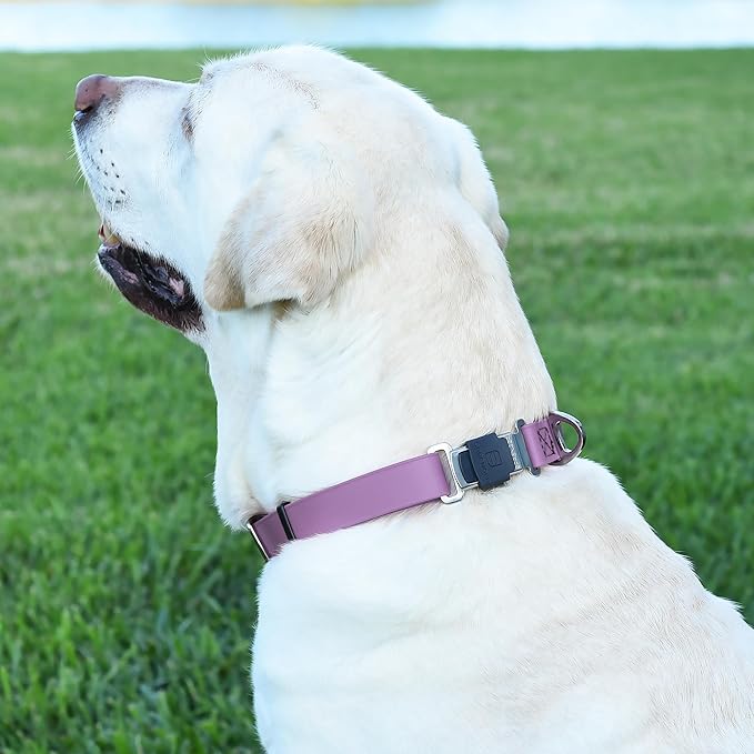 Dogline Biothane Waterproof Dog Collar with Herm Sprenger Stainless Steel Quick Release Buckle – Heavy Duty Tactical Durable Collar for Dogs – Comfortable and Safe Pet Collar, W 1" L 15-25", Amethyst-PawvioPets