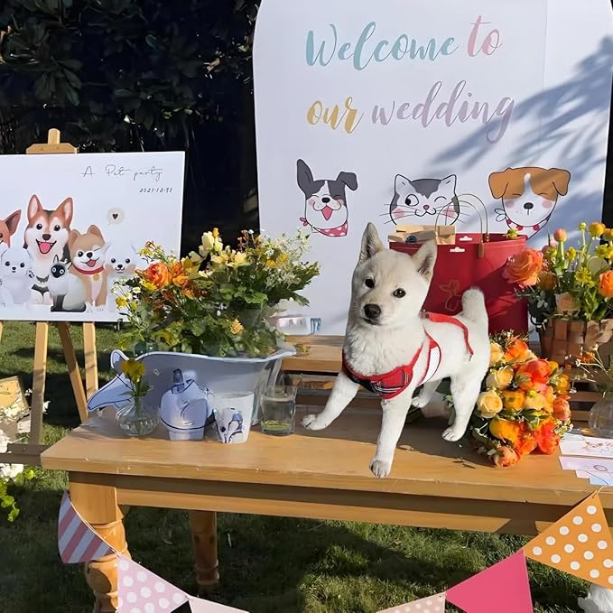 Dog Tuxedo for Wedding, Formal Pet Suit with Bow Tie and Leash, Adjustable Dog Costume for Small Medium Large Dogs, Birthday Christmas Halloween Party Apparel, M（8-14LB）-PawvioPets