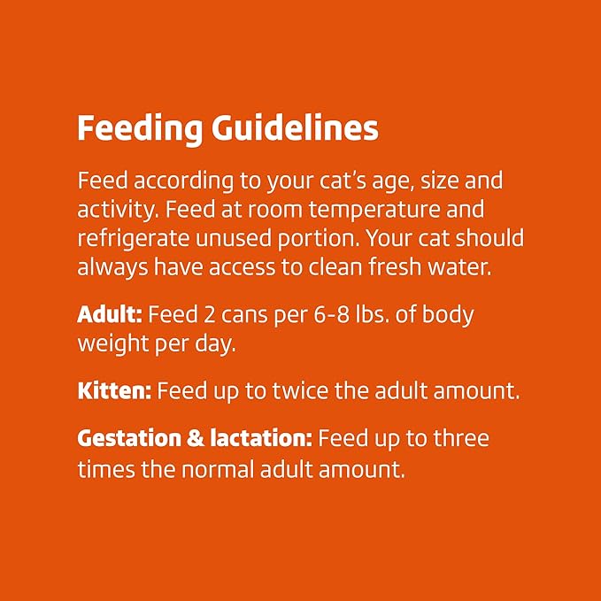 Amazon Brand - Wonder Bound Canned Wet Cat Food (Turkey & Giblet Dinner Paté), No Artificial Flavors, Adult Recipe, 3 Ounce (Pack of 24)-PawvioPets