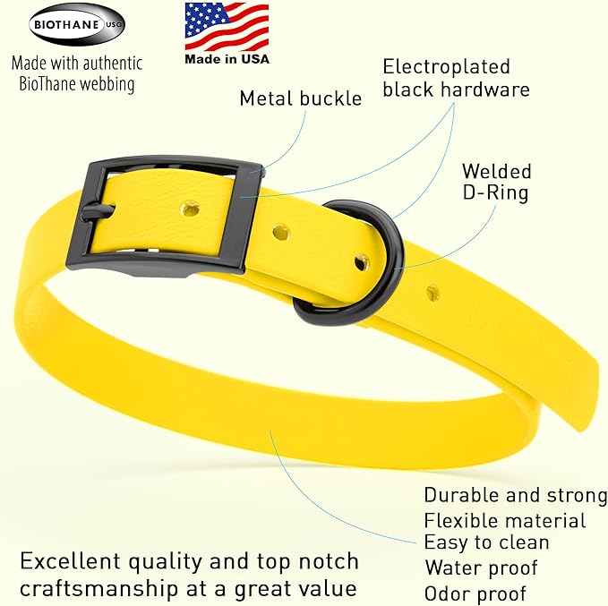 Dogline Biothane Waterproof Dog Collar Strong Coated Nylon Webbing with Black Hardware Odor- Proof for Easy Care Easy to Clean High Performance Fits Small Medium or Large Dogs, Lemon Yellow-PawvioPets