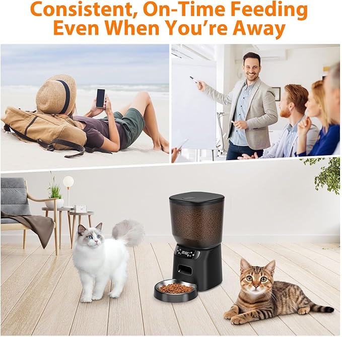Automatic Cat Feeder, Cat Food Dispenser with Stainless Steel Bowl, Timed Portion Control 20 Portions 6 Meals Per Day, Voice Recorder, Dual Power Supply for Small Dogs (Black)-PawvioPets