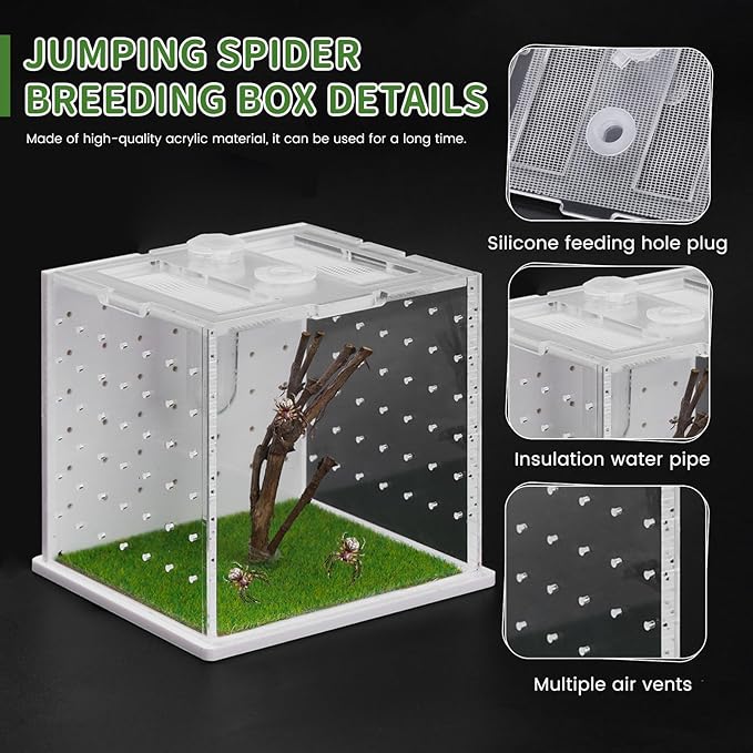 Acrylic Jumping Spider Enclosure, 2.95×2.95×2.87in Transparent Reptile Terrarium, Versatile Tarantula Enclosure for Small Reptiles/Insects, Small Reptile Tank with Dropper, Jumping Spider Accessories-PawvioPets